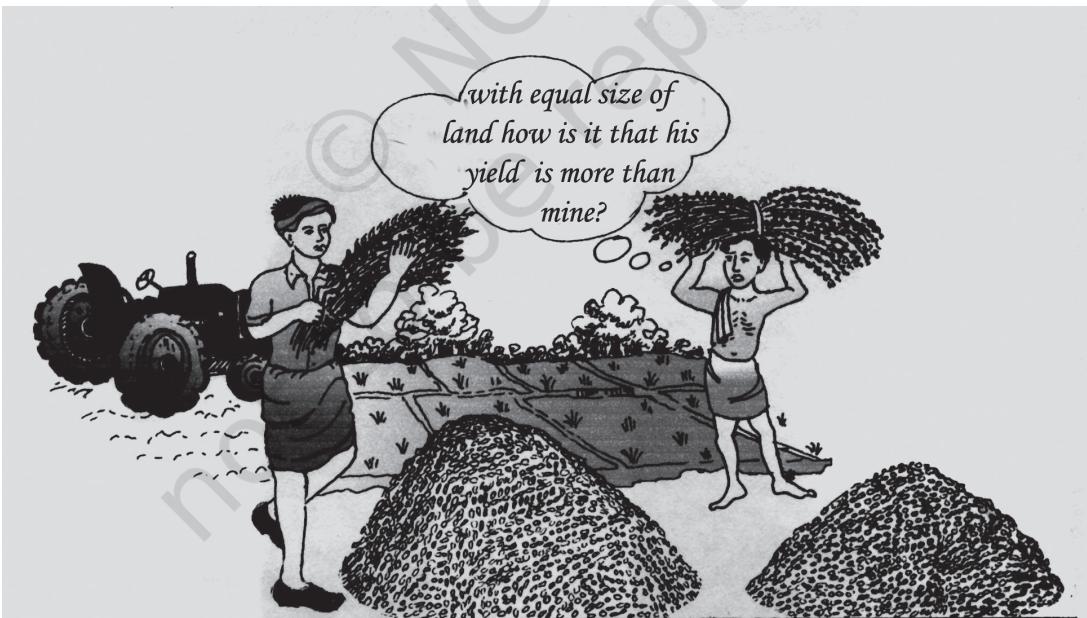 Fig. 4.1 Adequate education and training to farmers can raise productivity in farms