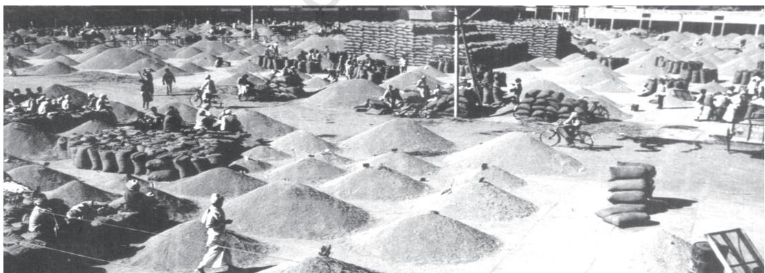 Fig. 5.1 Regulated market yards benefit farmers as well as consumers