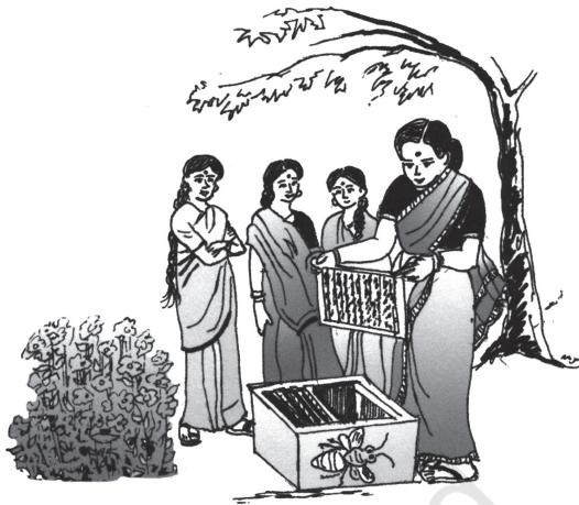 Fig. 5.5 Women in rural households take up bee-keeping as an entrepreneurial activity