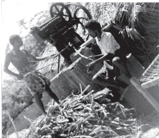 Fig. 5.2 Jaggery making is an allied activity of the farming sector