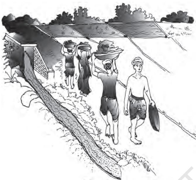Fig. 6.7 Dam construction work is a direct way of employment generation by the government