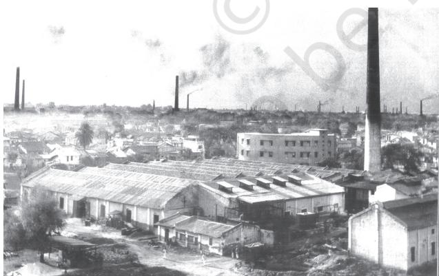 Fig. 7.2 Damodar Valley is one of India's most industrialised regions. Pollutants from the heavy industries along the banks of the Damodar river are converting it into an ecological disaster
