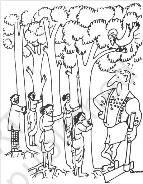 Textbook illustration