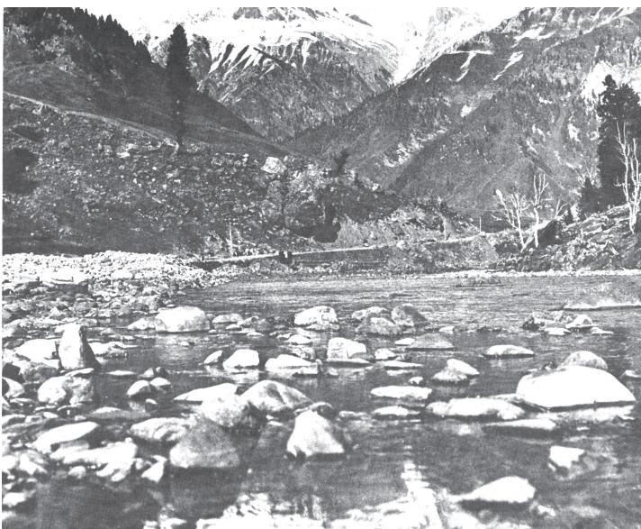 Fig. 7.1 Water bodies: small, snow-fed Himalayan streams are the few fresh-water sources that remain unpolluted.