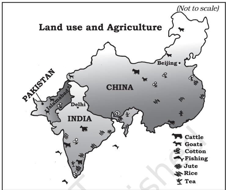 Fig. 8.2 Land use and agriculture in India, China and Pakistan