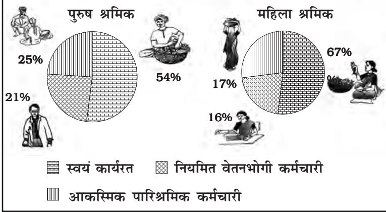 आरेख 6.1 रोजगार स्त्री-पुरुष वर्गानुसार वितरण