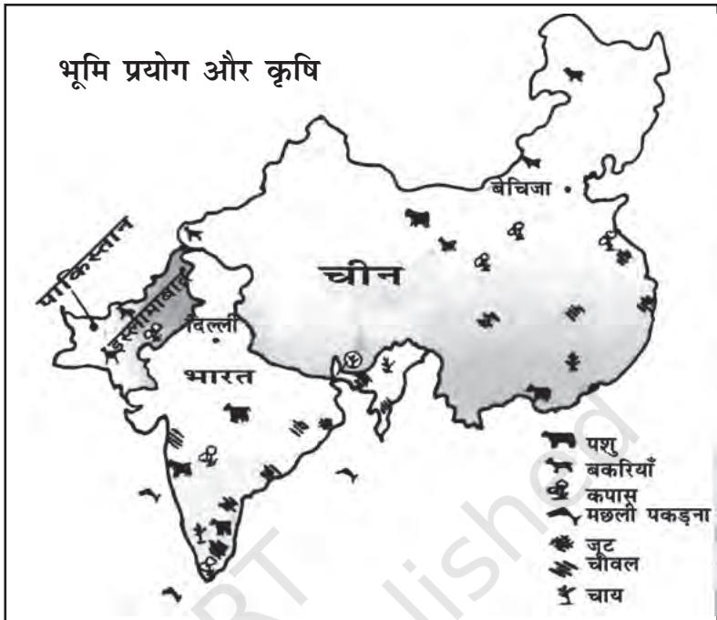 चित्र 8.2 भारत, चीन तथा पाकिस्तान में भूमि-प्रयोग तथा कृषि (स्केल के अनुसार नहीं)
सारणी 8.2