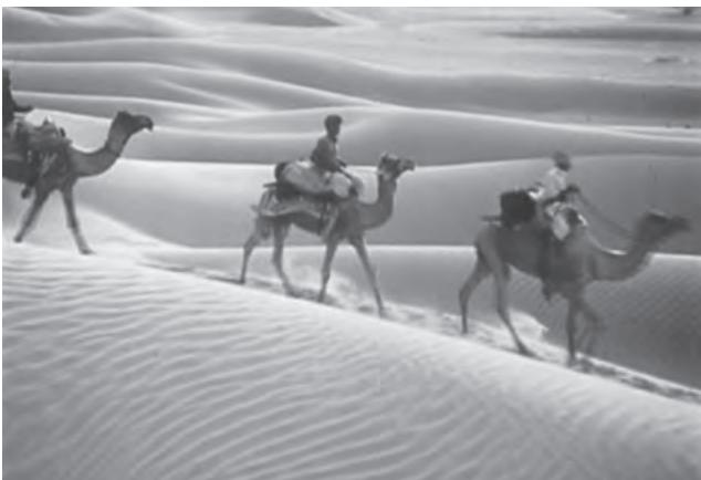 Figure 2.6 : The Indian Desert