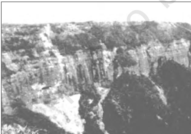 Figure 2.5 : A Part of Peninsular Plateau