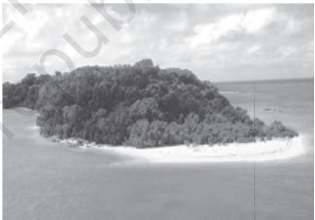 Figure 2.8 : An Island