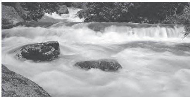 Figure 3.3 : Rapids