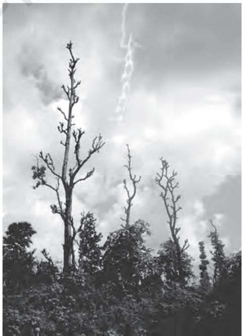 Figure 4.1 : Onset of Monsoon