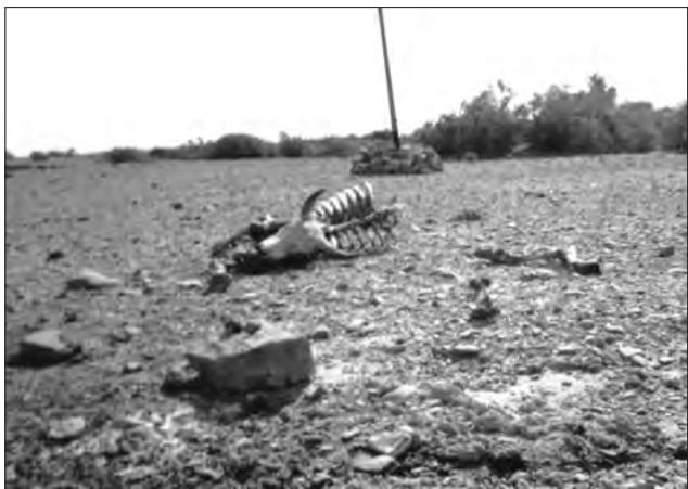 Figure 6.8 : Drought