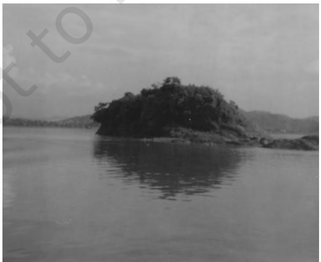 Figure 6.5 : Brahmaputra During Flood