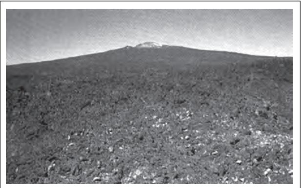 Cinder Cone