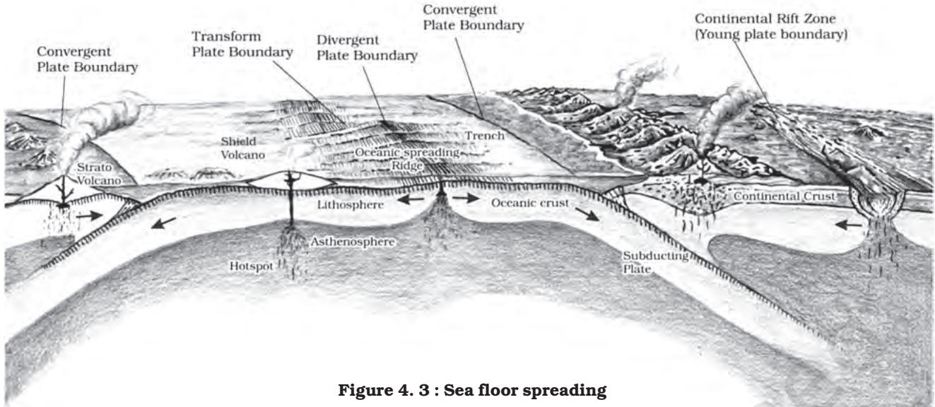 Textbook illustration