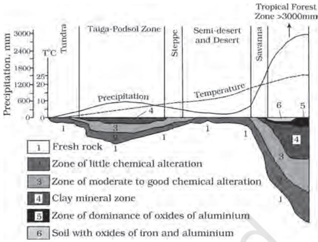 Figure 5.2 : Climatic regimes and depth of weathering mantles (adapted and modified from Strakhov, 1967)