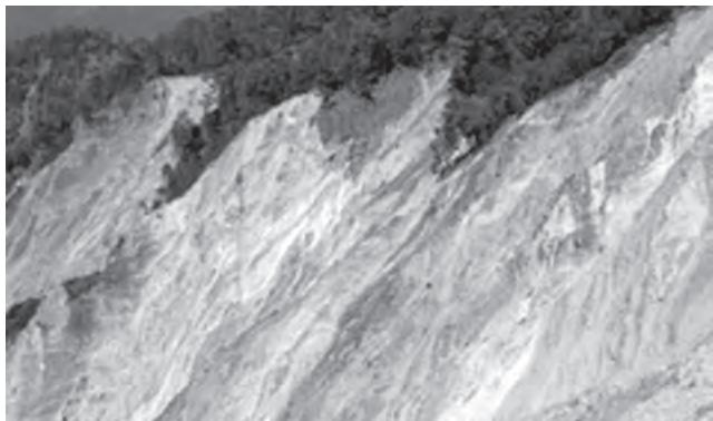 Figure 5.5: Landslide scars in Shiwalik Himalayan ranges near river Sarada at India-Nepal border, Uttar Pradesh