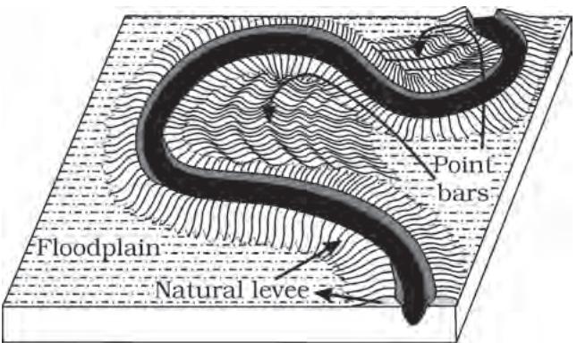 Figure 6.5 : Natural levee and point bars