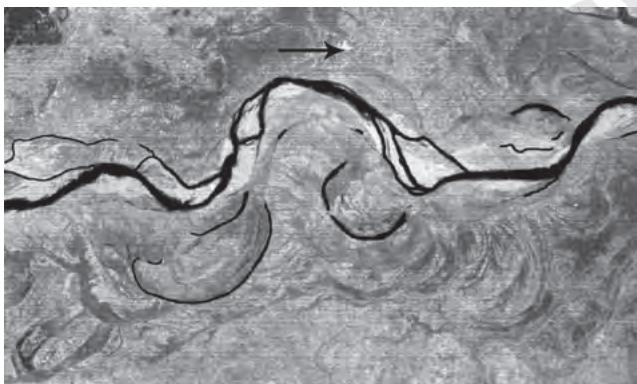Figure 6.6 : A satellite scene showing meandering Burhi Gandak river near Muzaffarpur, Bihar, showing a number of oxbow lakes and cut-offs