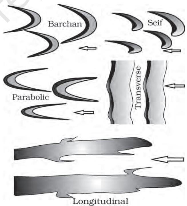 Figure 6.14 : Various types of sand dunes Arrows indicate wind direction