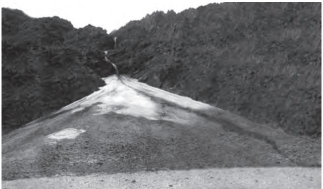 Figure 6.3 : An alluvial fan deposited by a hill stream on the way to Amarnath, Jammu and Kashmir