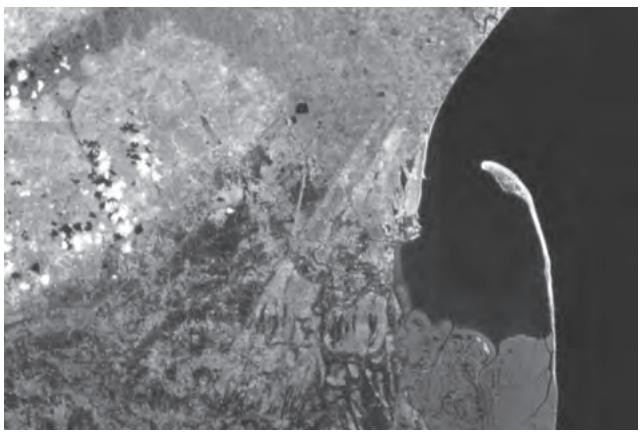 Figure 6.13 : A satellite picture of a part of Godavari river delta showing a spit