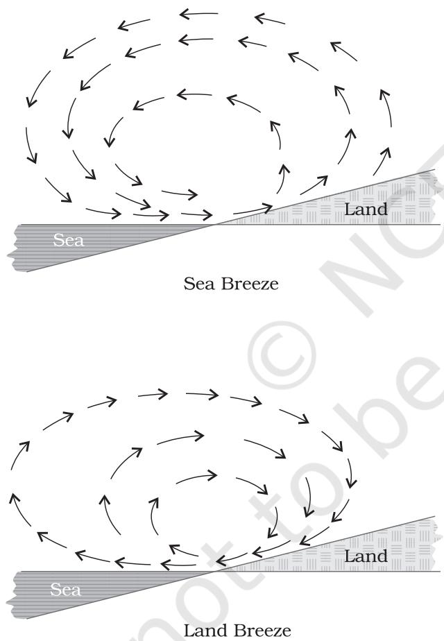 Figure 9.7 : Land and sea breezes