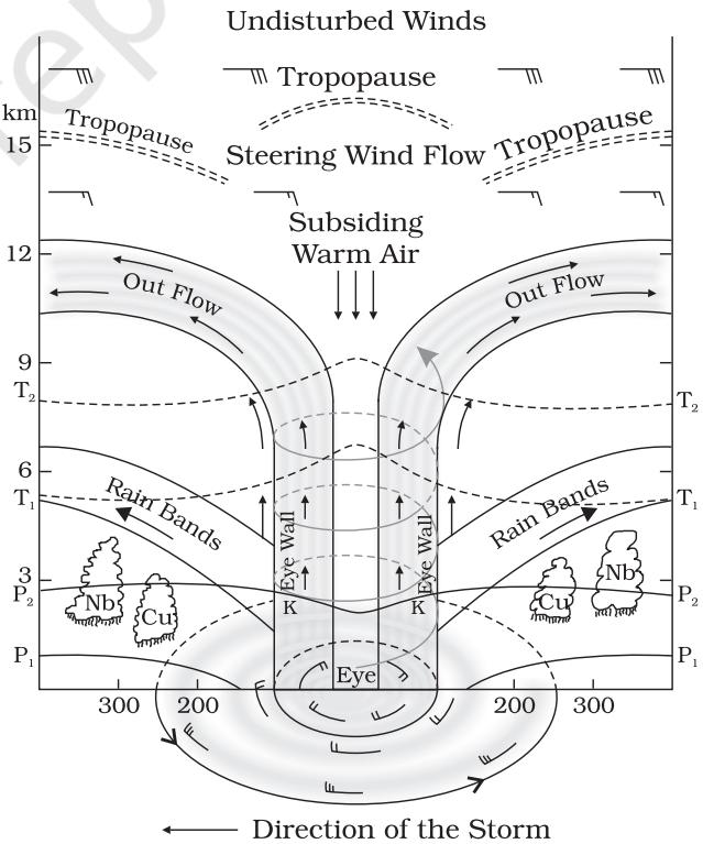 Figure 9.10 : Vertical section of the tropical cyclone (after Rama Sastry)