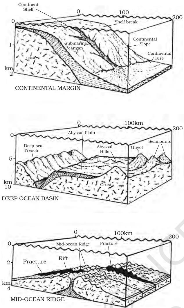 Figure 12.2 : Relief features of ocean floors