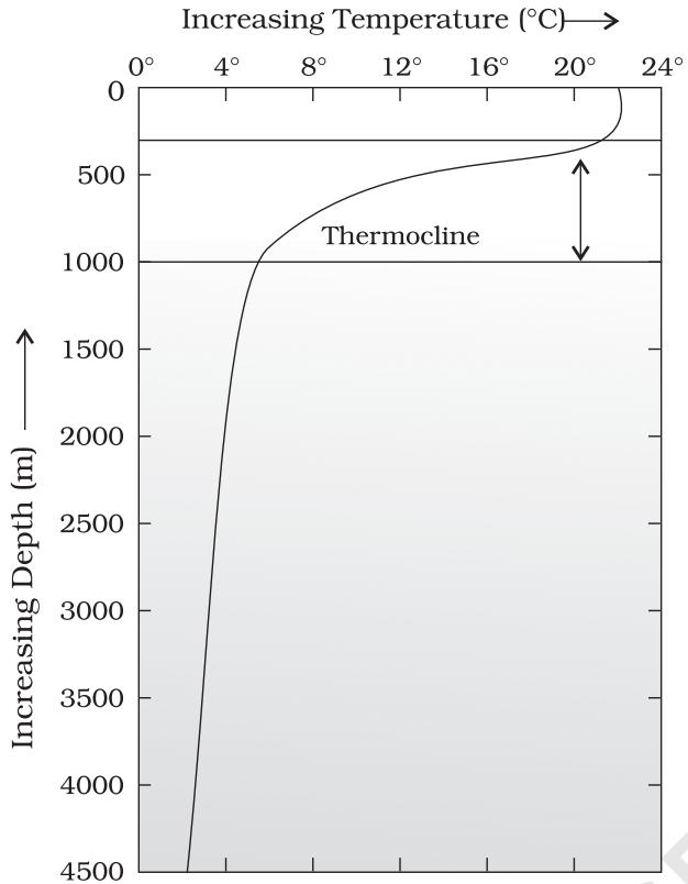 Figure 12.3 : Thermocline