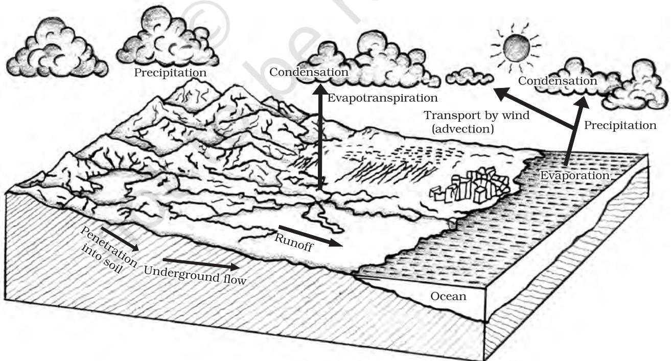 Figure 12.1 : Hydrological Cycle