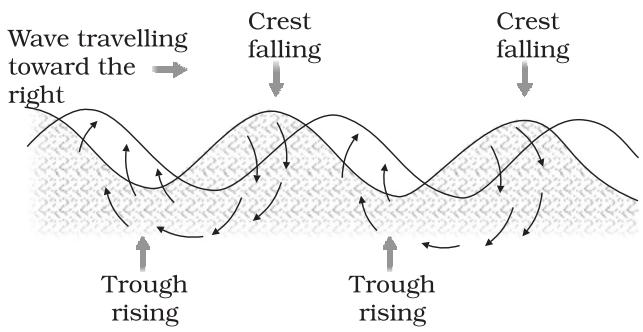 Figure13.1: Motion of waves and water molecules
