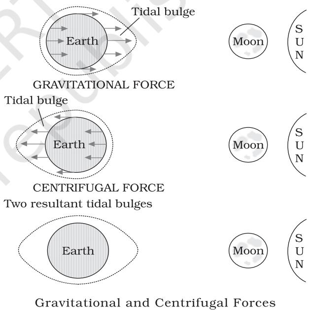 Figure13.2 : Relation between gravitational forces and tides