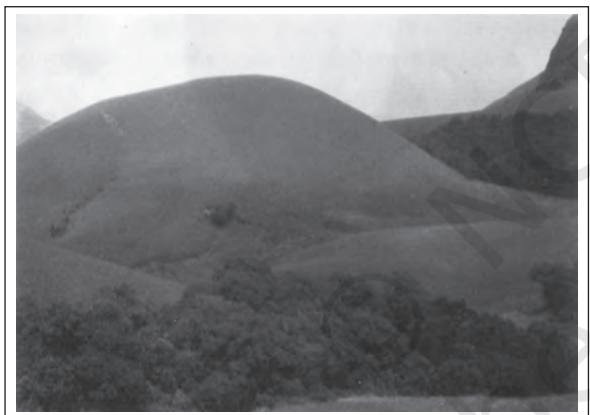 Figure 14.1 : Grasslands and sholas in Indira Gandhi National Park, Annamalai, Western Ghats - an example of ecosystem diversity