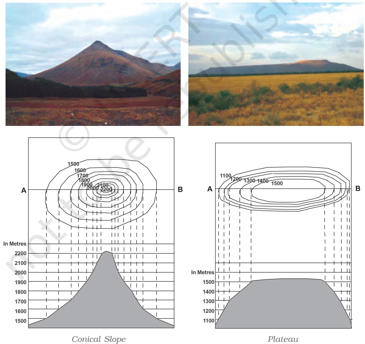 Textbook illustration