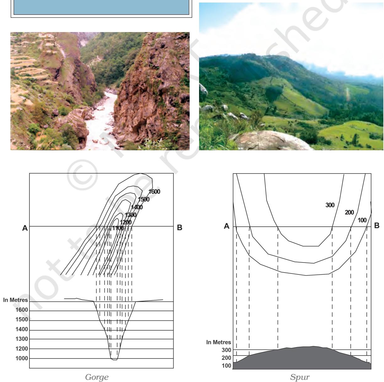 Textbook illustration