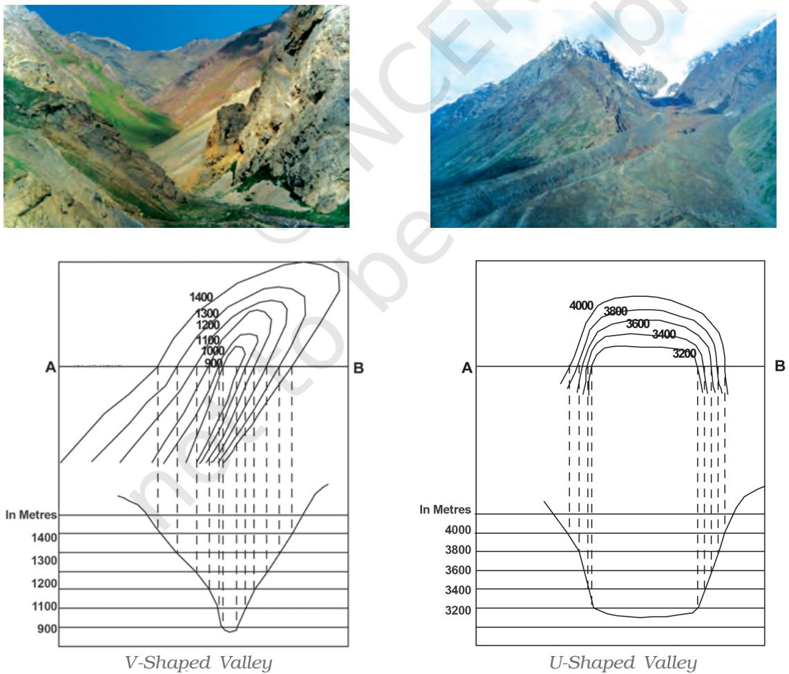 Textbook illustration