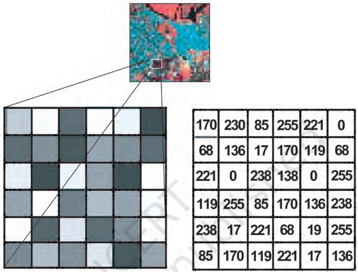 Figure 6.12 Digital Image (top) and Part of it zoomed showing Pixel's brightness (left) and the associated Digital Numbers (right)
