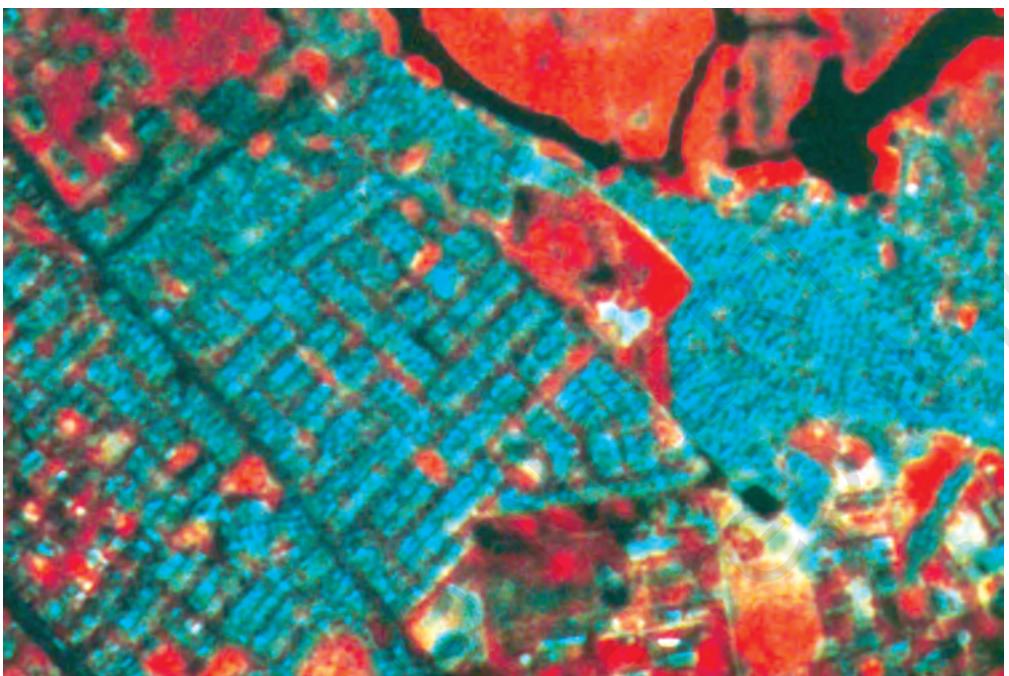 Figure 6.17 Planned residential areas are easily identifiable using the pattern they form