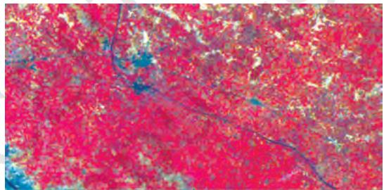 Figure 6.14 (b) Fine texture of cropped land