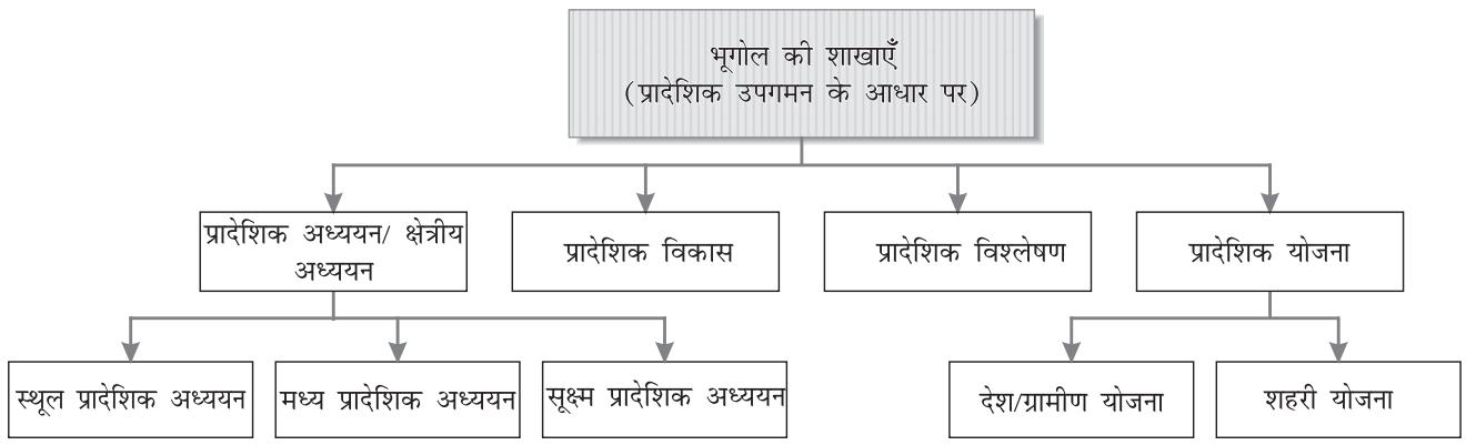 चित्र : 1.3 : भूगोल की शाखाएँ ( प्रादेशिक उपगमन के आधार पर )