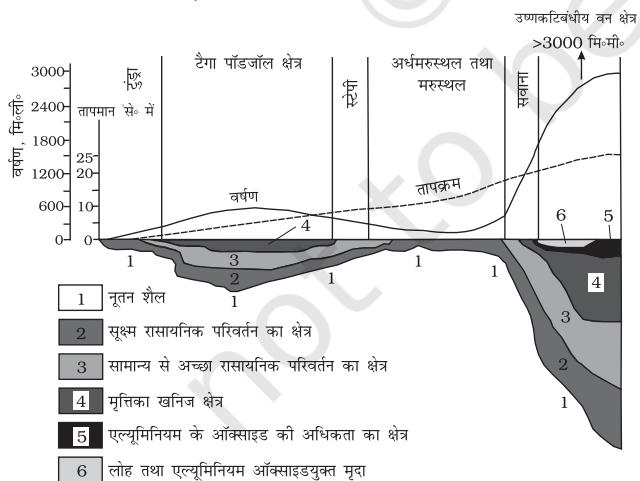 चित्र 5.2 : जलवायु एवं अपक्षय मैंटल की गहराई
(स्ट्रैकोव, 1967 से रूपांतरित एवं संशोधित)