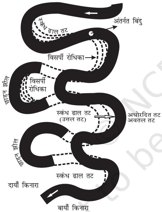 चित्र 6.8 : विसर्प वृष्टि एवं छाड़न लूप तथा स्कंध ढाल
एवं अधोरदित तट