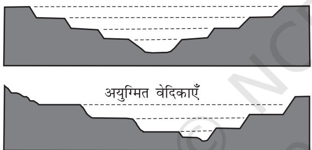 युग्मित वेदिकाएँचित्र 6.3 : युग्मित एवं अयुग्ति वेदिकाएँ