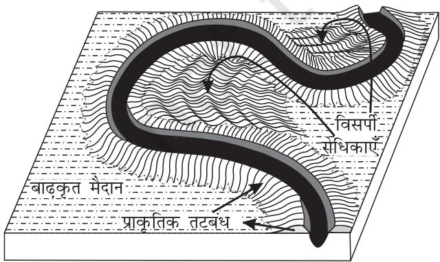 चित्र 6.6 : प्राकृत्तिक तटबंध एवं विसर्पी रोधिकाओं का चित्रण