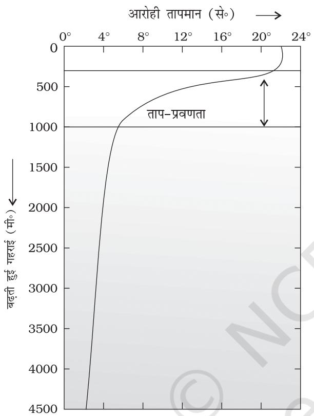 चित्र 12.3 : ताप प्रवणता ( थमोंक्लाईन )