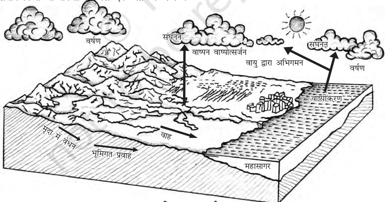 चित्र 12.1 : जलीय चक्र