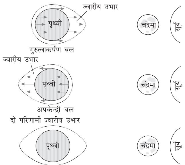 चित्र 13.2 : गुरुत्वाकर्षण बल और ज्वारभाटा के मध्य संबंध