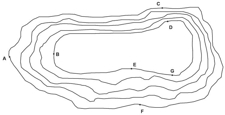 Textbook illustration